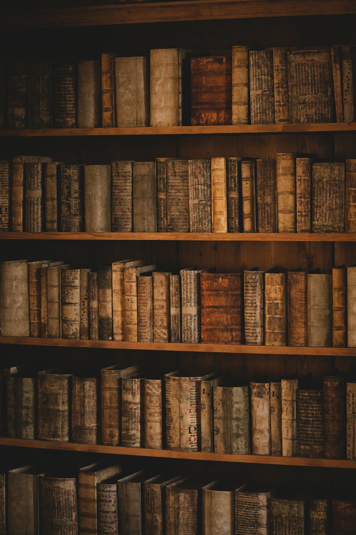 木の棚に、古い書物の背表紙が隙間なく並んでいる。