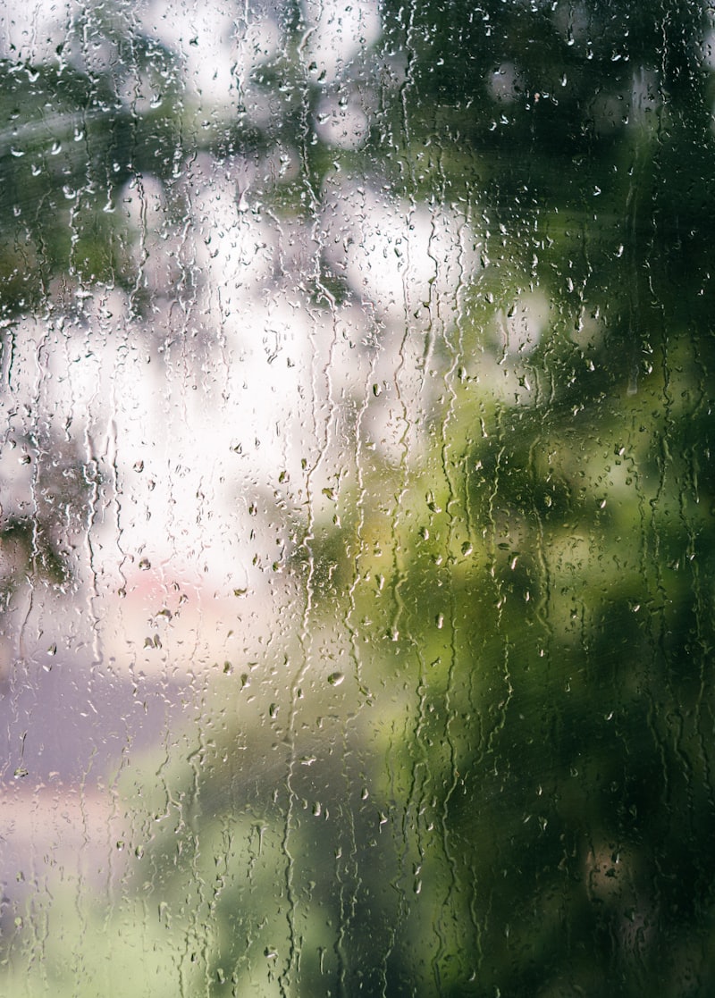 雨の日の窓ガラス。無数の水滴の向こうに、緑がぼやけて見えている。